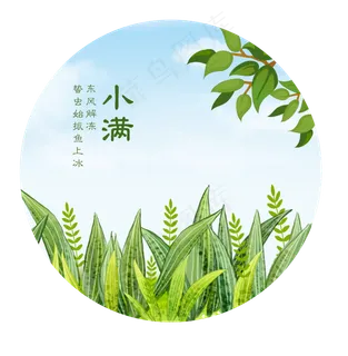小满节气免抠图片 