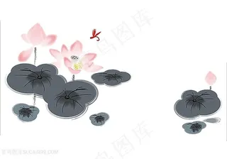 国画荷花图片