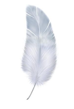 羽毛 PNG免抠(300x441)