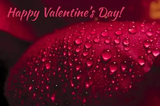 情人节快乐玫瑰