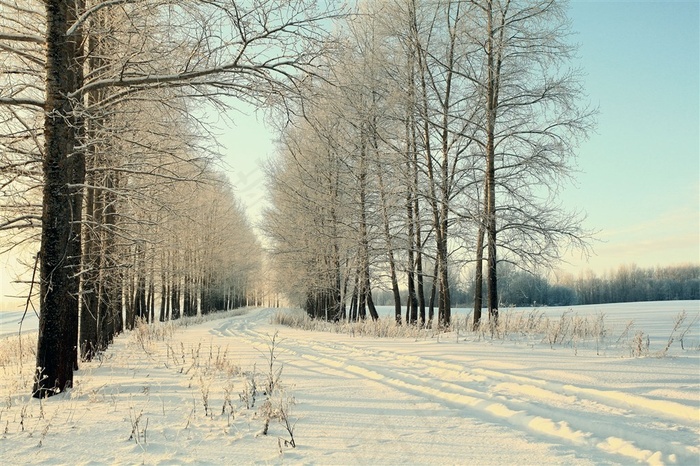 寒冷冬天雪景摄影