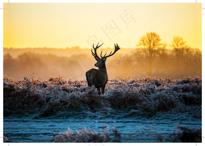 装饰画|客厅|海报画|电表箱装饰画|挂画