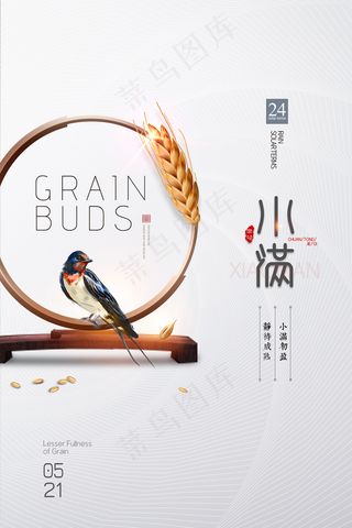 清新二十四节气小满节日海报
