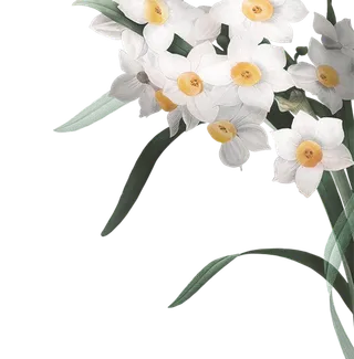 免抠兰花花朵图片