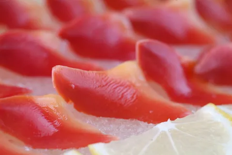 L02147刺身北极贝84