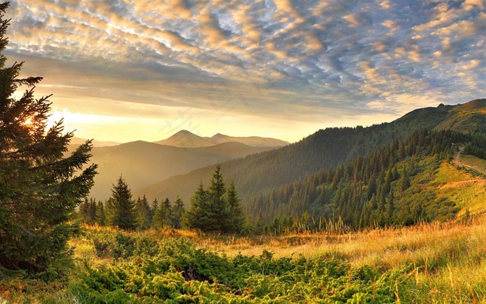 山野间那一缕阳光
