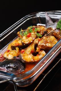 CXC03143明炉馋嘴鮰鱼1