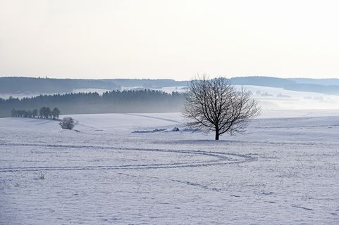 冬天白雪背景风景