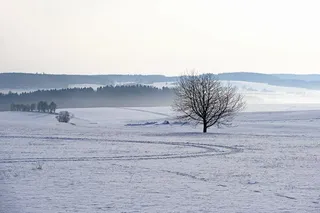 冬天白雪背景风景
