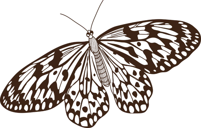 卡通动画动画蝴蝶免扣PNG手绘插画图片素材 (155)