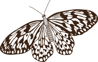 卡通动画动画蝴蝶免扣PNG手绘插画图片素材 (155)