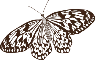 卡通动画动画蝴蝶免扣PNG手绘插画图片素材 (155)