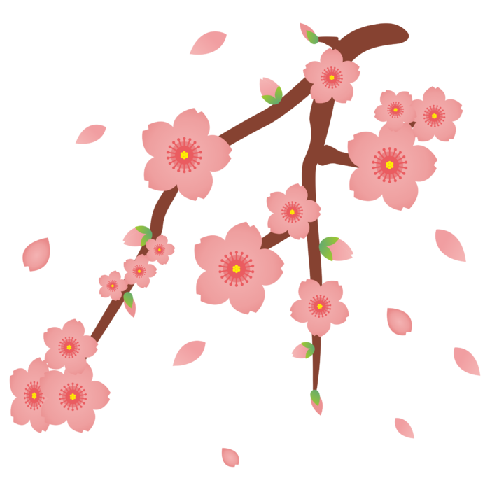 春天浪漫粉红色樱花手绘樱花梅花桃花花朵图片PNG免扣素材