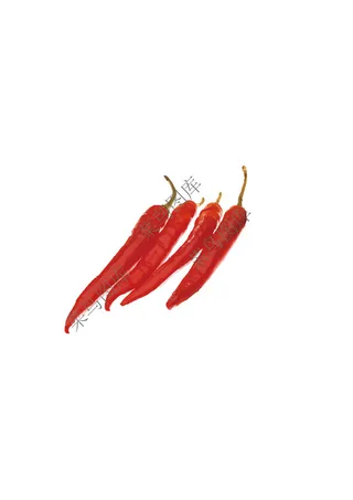 红辣椒抽象矢量图
