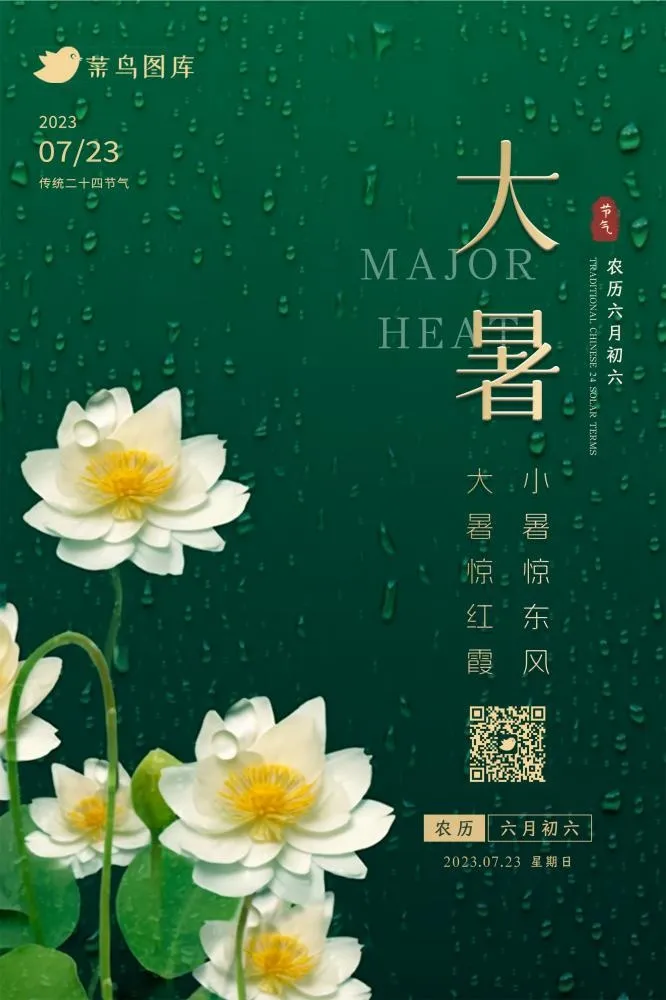 大暑传统节气绿色雨滴荷花海报