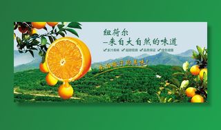 新鲜水果电商banner电商首页海报主图电商banner香蕉芒果脐橙详情