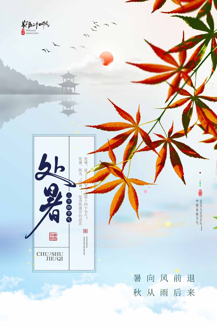 小清新处暑节气活动宣传图片