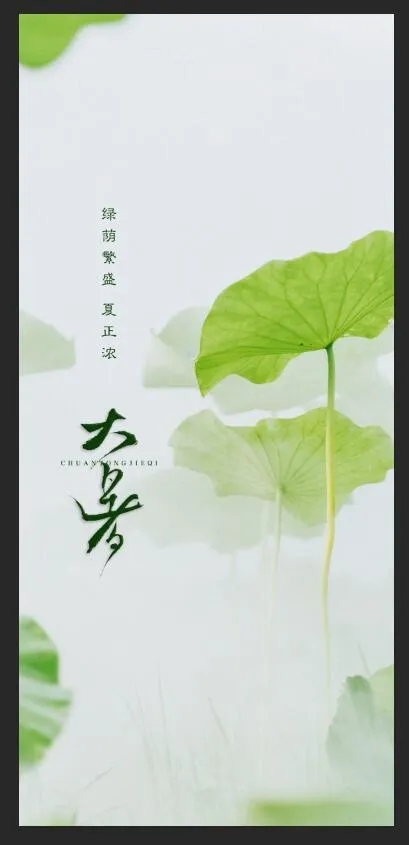 大暑节气荷叶图片