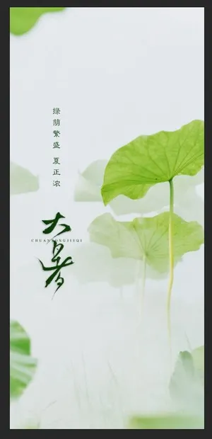 大暑节气荷叶图片 大暑节气荷叶图片