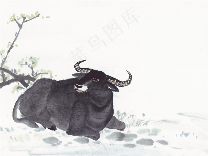 生肖动物设计摄影图片