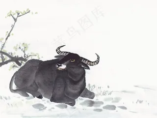 生肖动物设计摄影图片