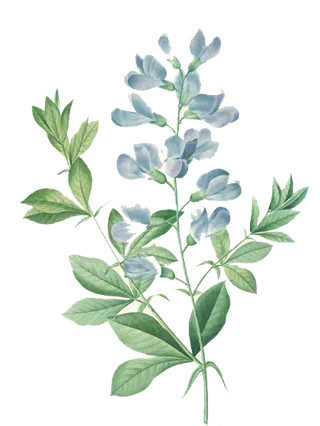 38妇女节三八女神女王粉色花朵玫瑰艺术字设计png免抠ps素材