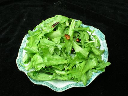 2035生拌茼蒿sdf.JPG 2035生拌茼蒿sdf.JPG