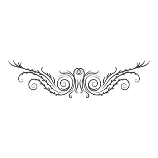 对称|形状|装饰|纹路