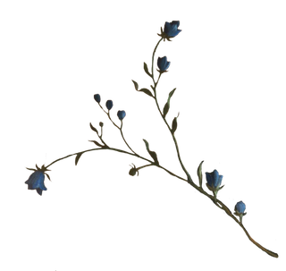 复古油画质感宫廷花卉植物花朵鲜花拼贴图案PNG免抠图片设计素材