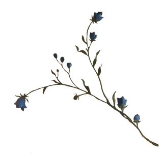 复古油画质感宫廷花卉植物花朵鲜花拼贴图案PNG免抠图片设计素材