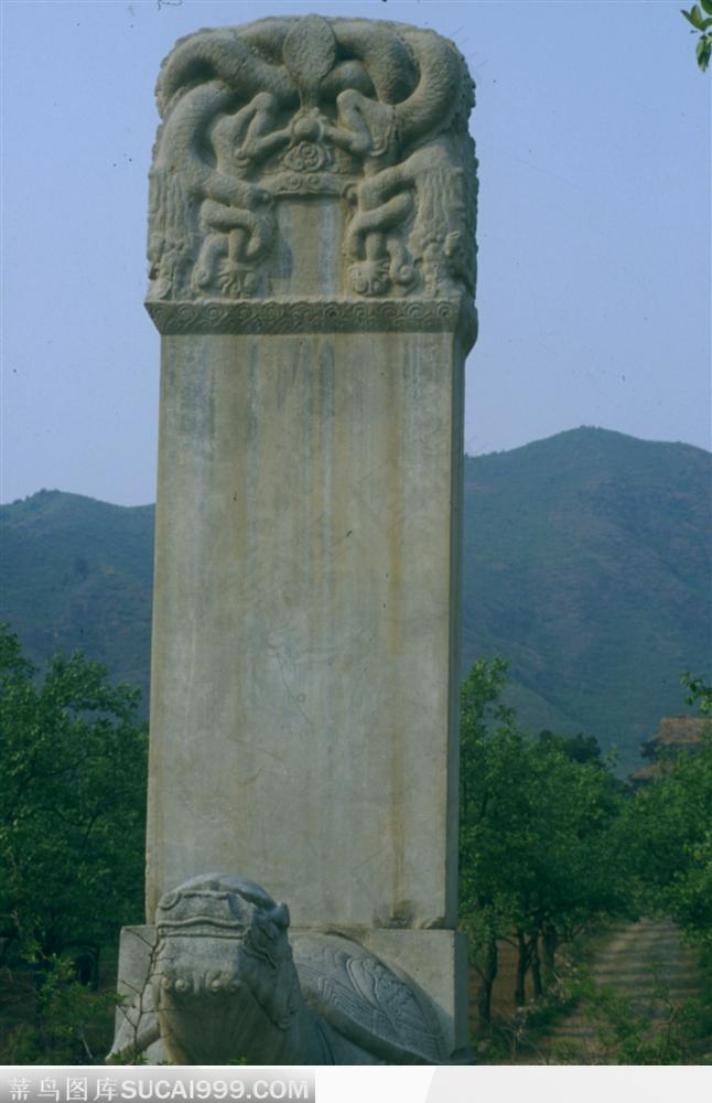 明十三陵-长陵神龟