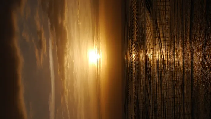 海边日出波光粼粼海天一色