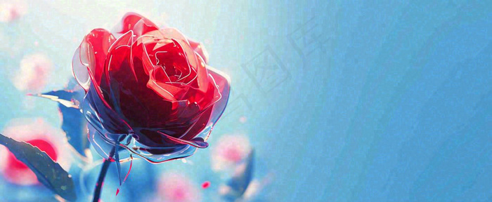 红玫瑰蓝色天空白云唯美，鲜花