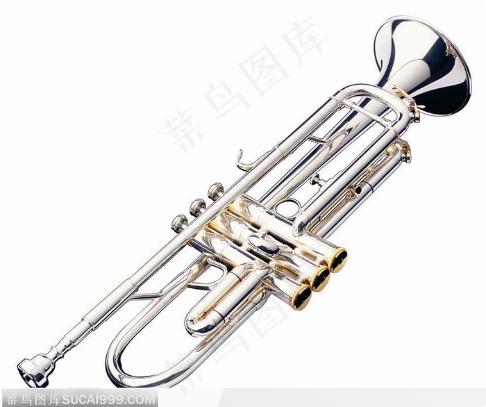 银色小号