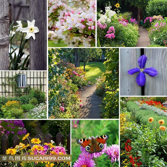 春意盎然的鲜花背景素材