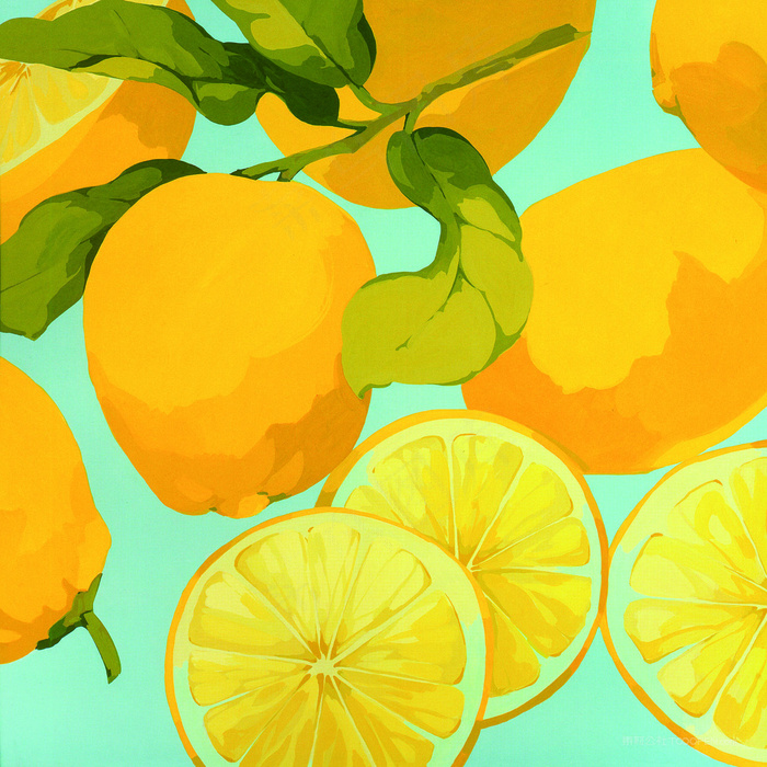 柑橘水果艺术插画
