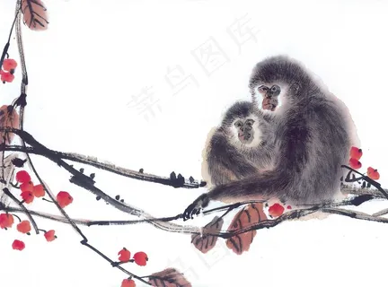 生肖动物高清图片素材 生肖动物高清图片素材