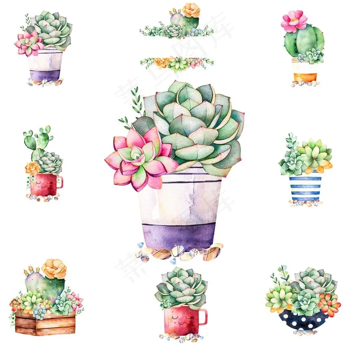 水彩手绘盆栽仙人球多肉植物素材手绘插画