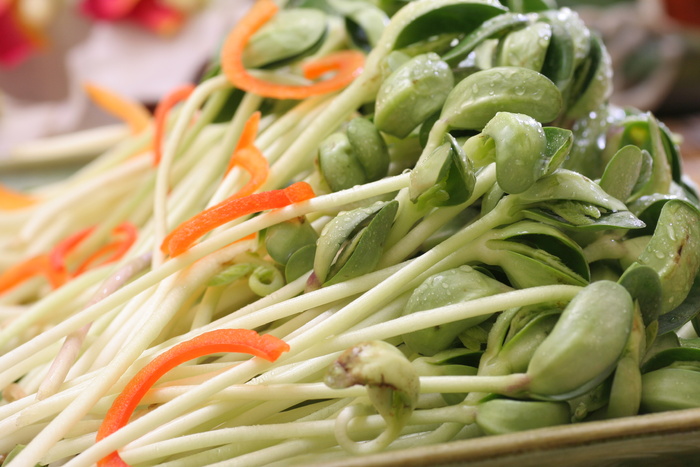 黑豆苗 (5)