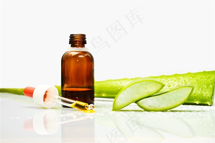 新鲜的芦荟图片