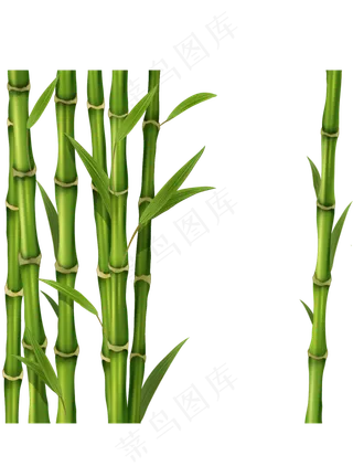 PNG 绿色竹子  
