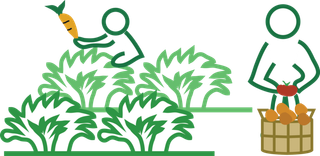 收萝卜卡通萧条图素材现代农业