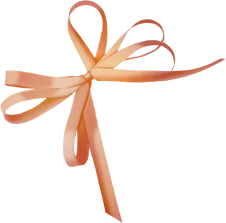 丝带蝴蝶结