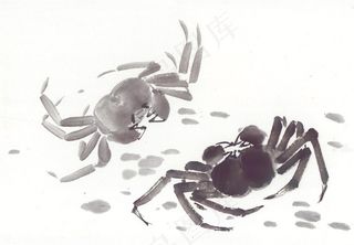 国画鱼虾蟹龟系列图片素材