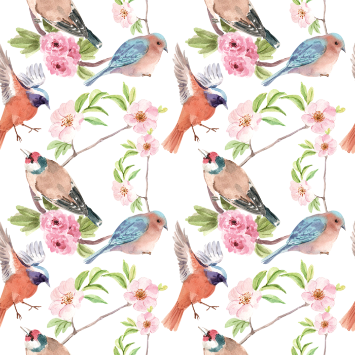 春鸟水彩剪贴画免抠素材