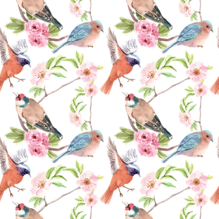 春鸟水彩剪贴画免抠素材