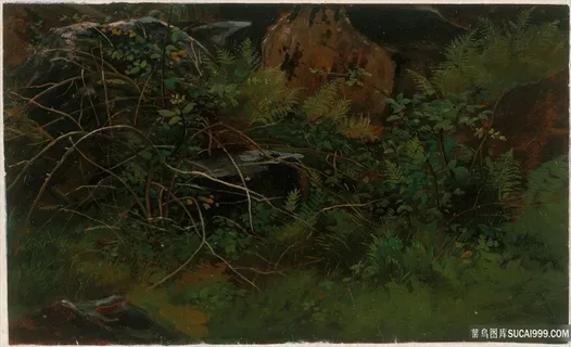 威廉 · 斯坦利 · 哈塞尔廷，自然研究