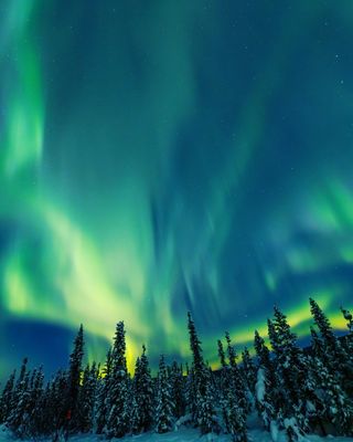 南极光北极光极光夜晚星空背景极光景观图片 (23)