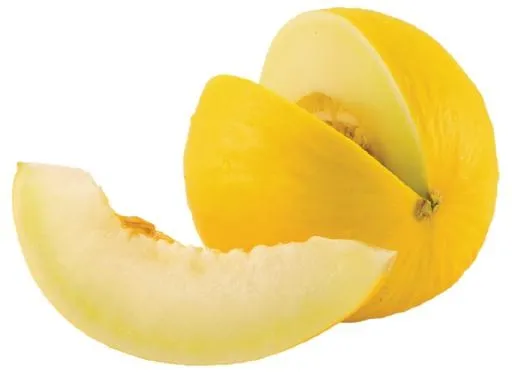 甜瓜 PNG免抠(793x588)