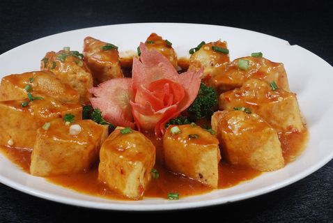 CXC03644千岁豆腐 CXC03644千岁豆腐